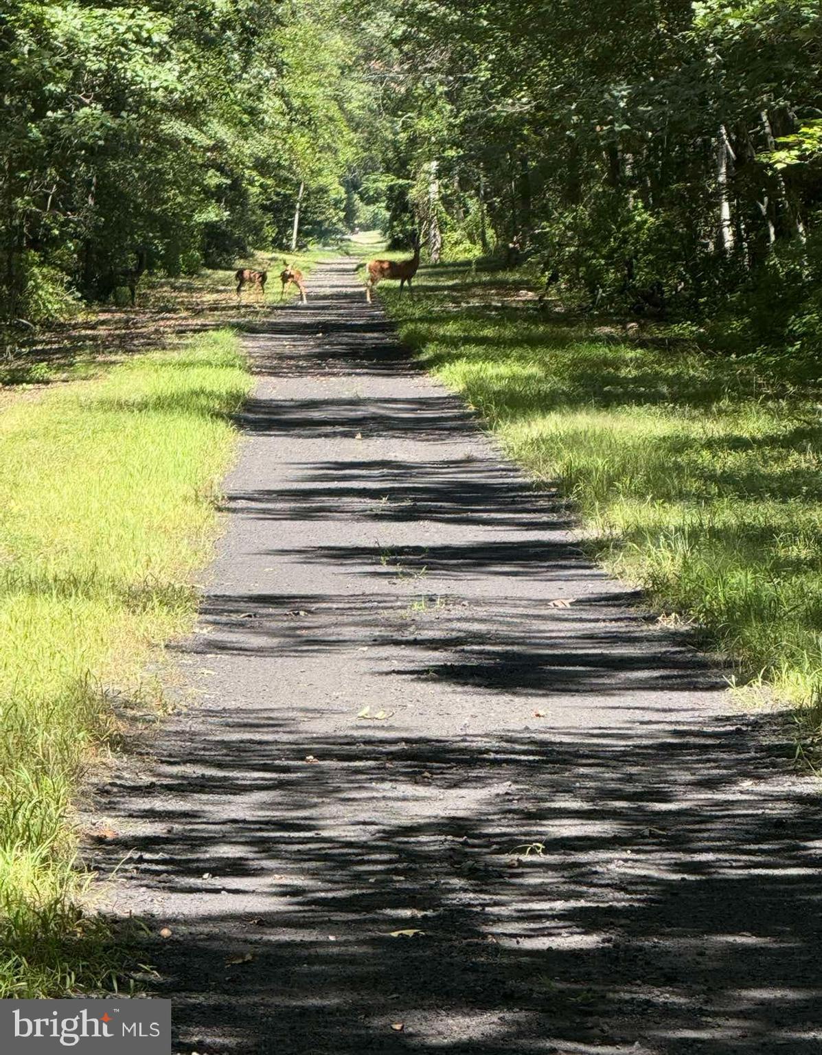 29 Three Bridge Road Monroeville, NJ 08343 - Photo 51 of 56