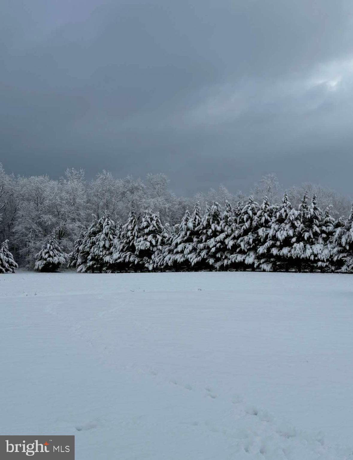 29 Three Bridge Road Monroeville, NJ 08343 - Photo 52 of 56