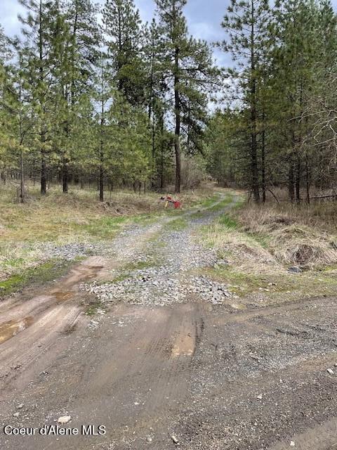 Nka-10-ac West Sunmeadow Road Worley, ID 83876 - Photo 26 of 32 Driveway 1
