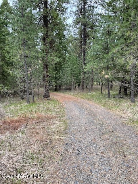 Nka-10-ac West Sunmeadow Road Worley, ID 83876 - Photo 27 of 32 Driveway 2