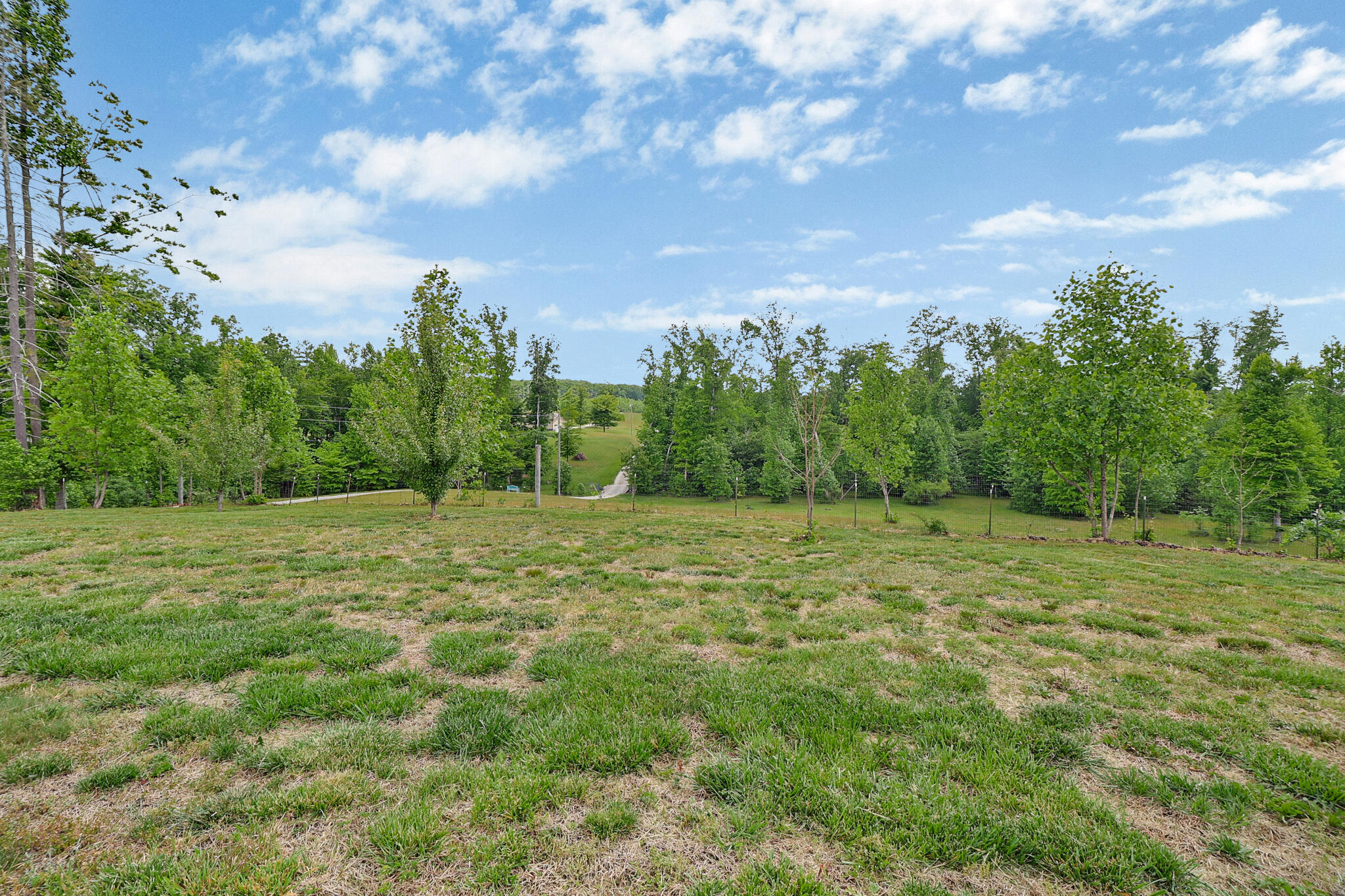 2930 Doc Loy Road Grandview, TN 37337 - Photo 42 of 42 n44a9527-n44a9531