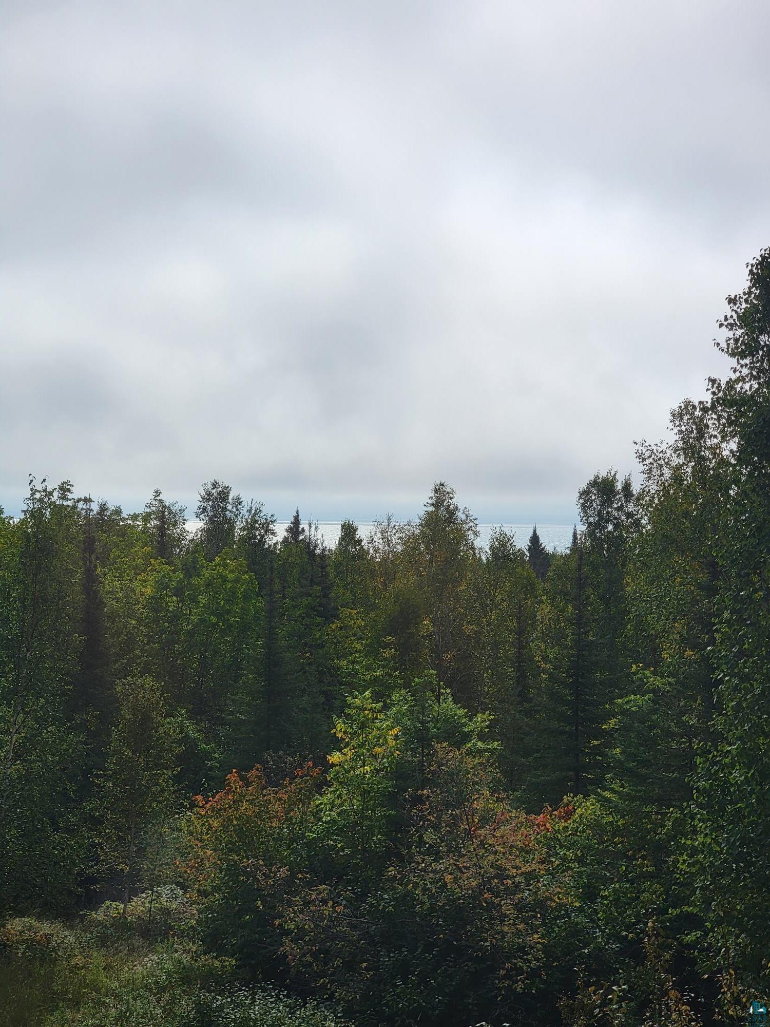 184 Fall River Road Grand Marais, MN 55604 - Photo 46 of 50 View of landscape