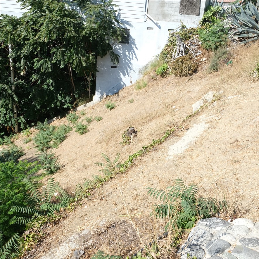 6682 Whitley Terrace Los Angeles, CA 90068 - Photo 2 of 5 a view of a yard covered in snow
