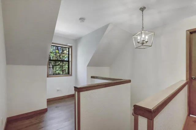 a view of a yard with plants and trees