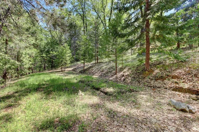 $849,000 | 25801 Oak Forest Court, Colfax, CA 95713