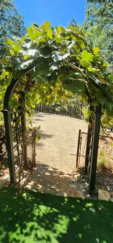 $849,000 | 25801 Oak Forest Court, Colfax, CA 95713