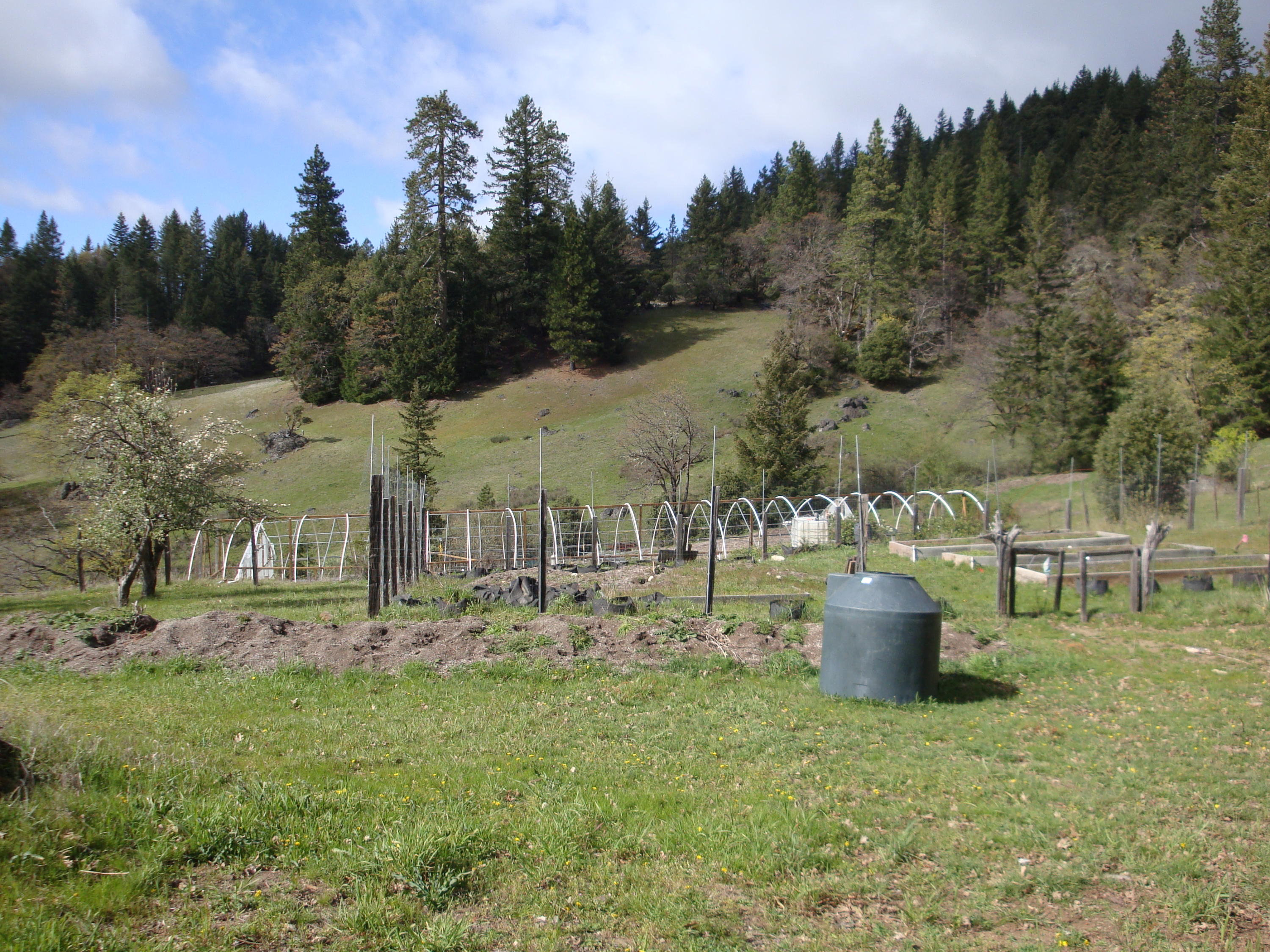 0 Buck Mountain Road Bridgeville, CA 95526 - Photo 10 of 33