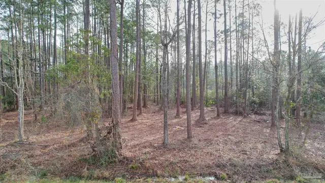a view of room with trees
