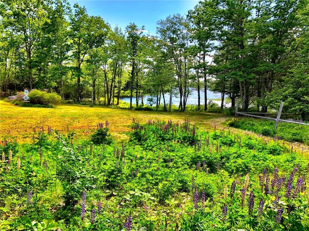 1143 Toddy Pond Road Surry, ME 04684 - Photo 8 of 35 Photo