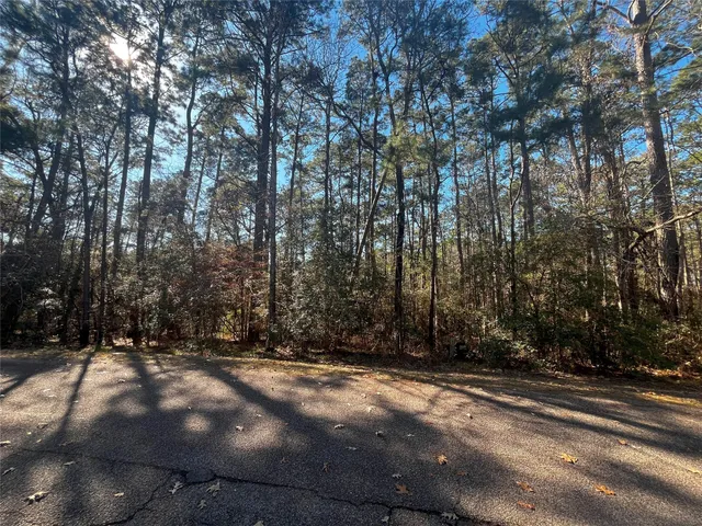 $26,000 | 61 Sunny Hill Drive, Coldspring, TX 77331