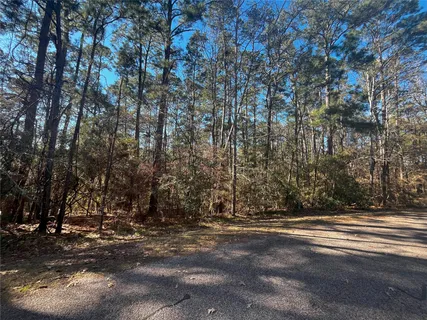 $26,000 | 61 Sunny Hill Drive, Coldspring, TX 77331