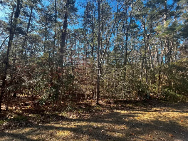 $26,000 | 61 Sunny Hill Drive, Coldspring, TX 77331