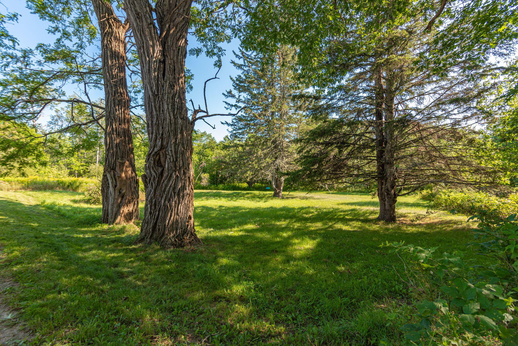 539 The Shore Road Castine, ME 04421 - Photo 51 of 53 539+The+Shore+Rd+Castine-4-WebQuality
