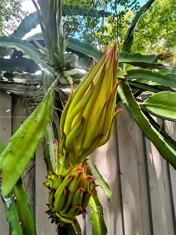 a view of statue in a garden