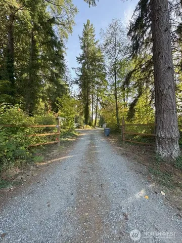 a view of a yard with trees