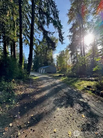 a view of a yard with a tree