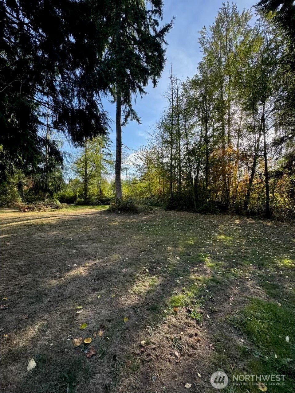 11518 264th Street East Graham, WA 98338 - Photo 5 of 8