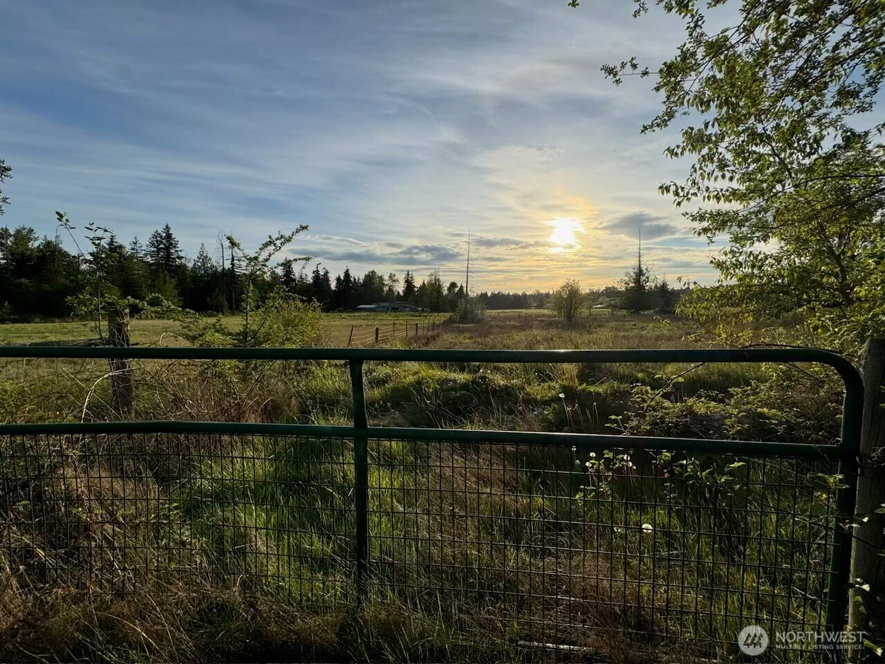 11518 264th Street East Graham, WA 98338 - Photo 8 of 8