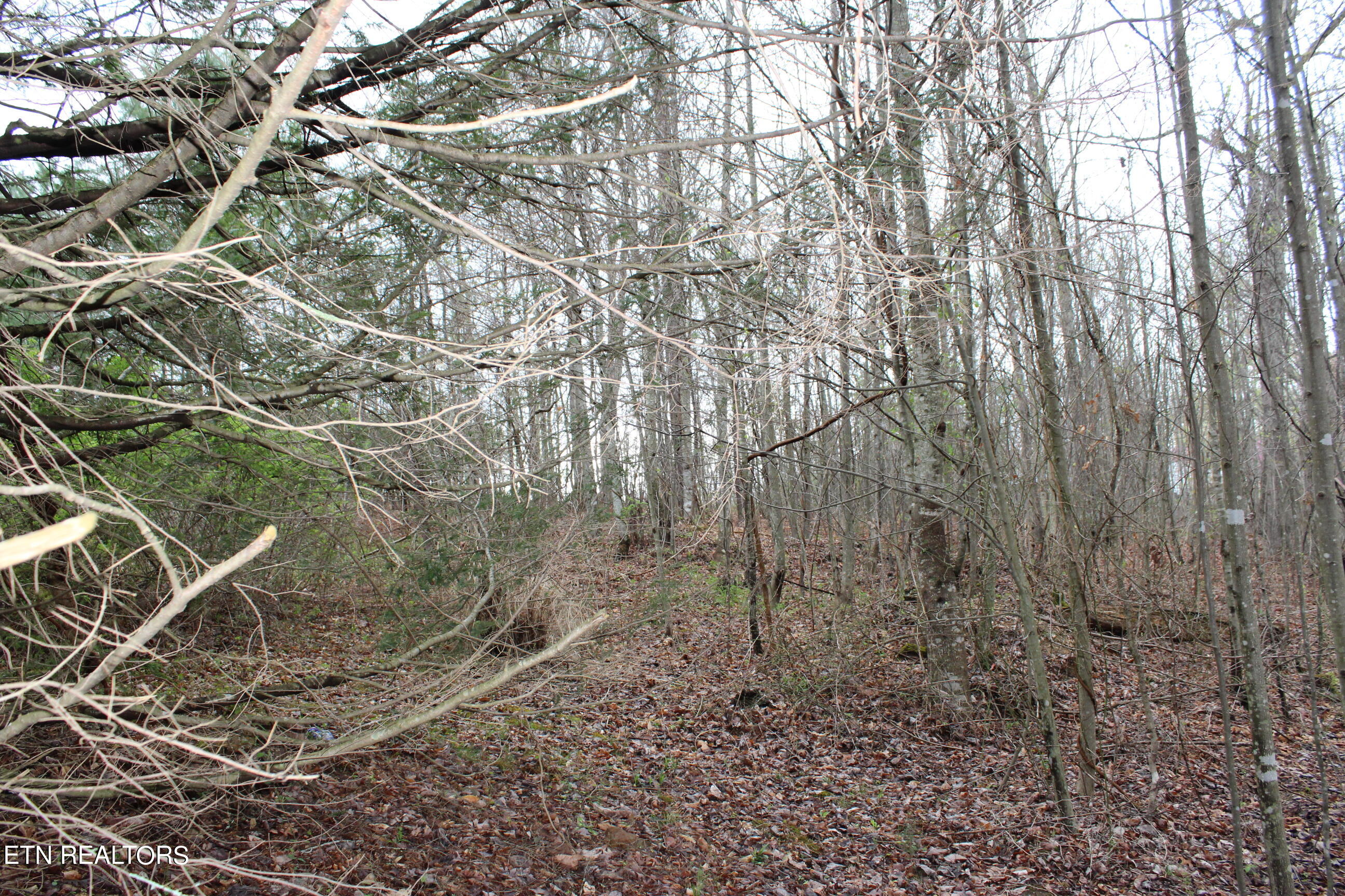 820 Slaven Ridge Road Jamestown, TN 38556 - Photo 11 of 20 IMG_5509