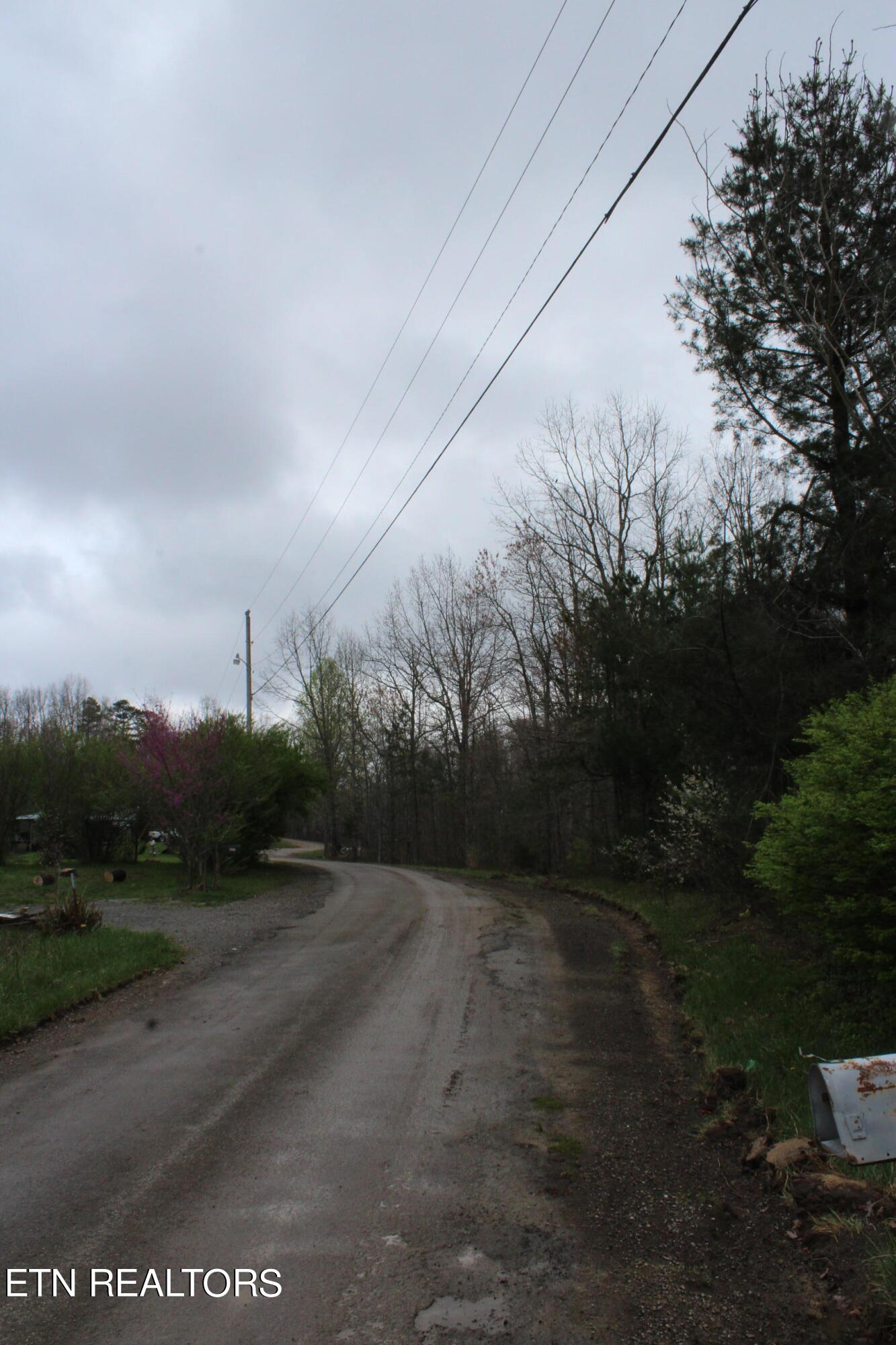 820 Slaven Ridge Road Jamestown, TN 38556 - Photo 12 of 20 IMG_5510