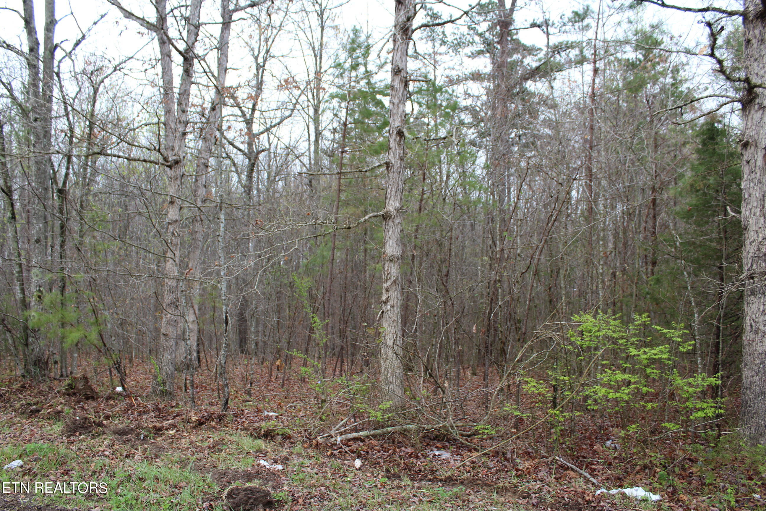 820 Slaven Ridge Road Jamestown, TN 38556 - Photo 13 of 20 IMG_5511