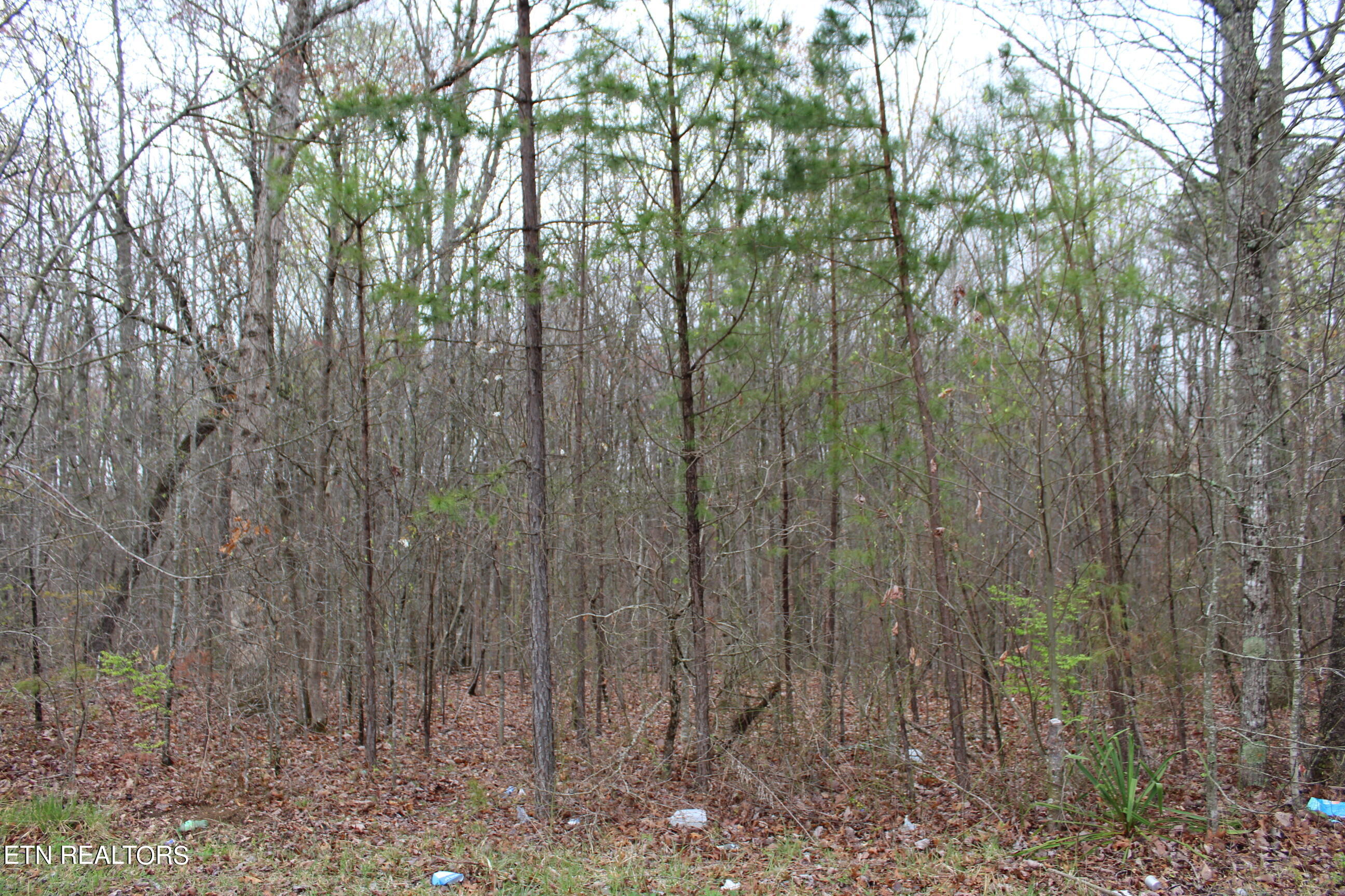 820 Slaven Ridge Road Jamestown, TN 38556 - Photo 14 of 20 IMG_5512