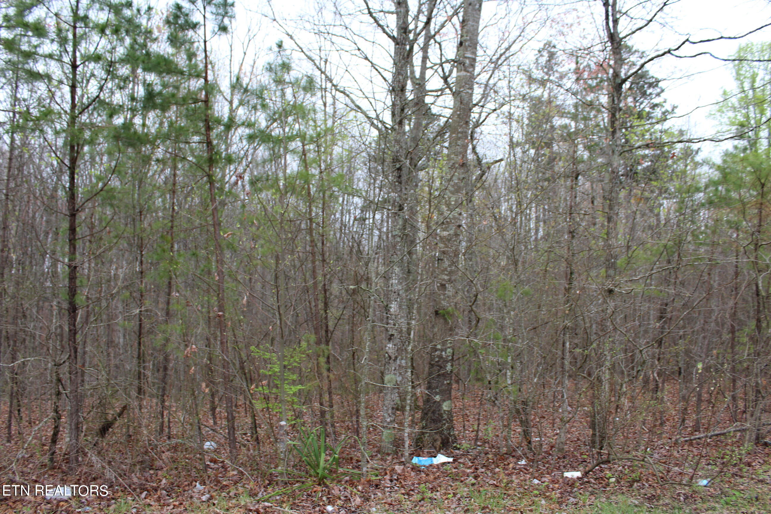 820 Slaven Ridge Road Jamestown, TN 38556 - Photo 15 of 20 IMG_5513