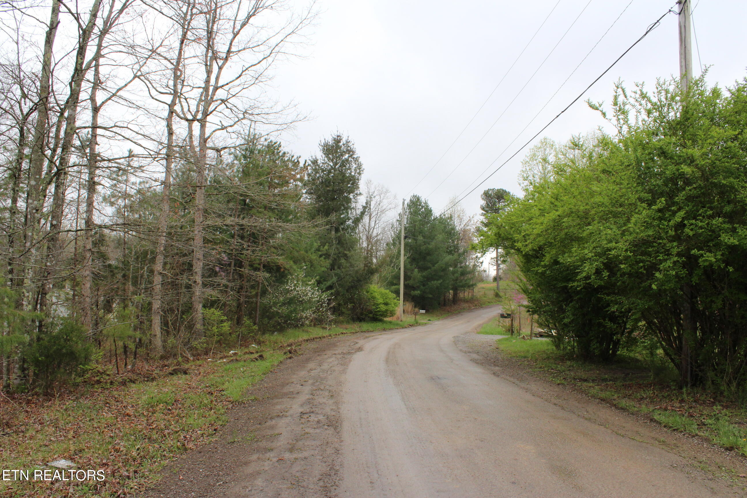 820 Slaven Ridge Road Jamestown, TN 38556 - Photo 16 of 20 IMG_5514