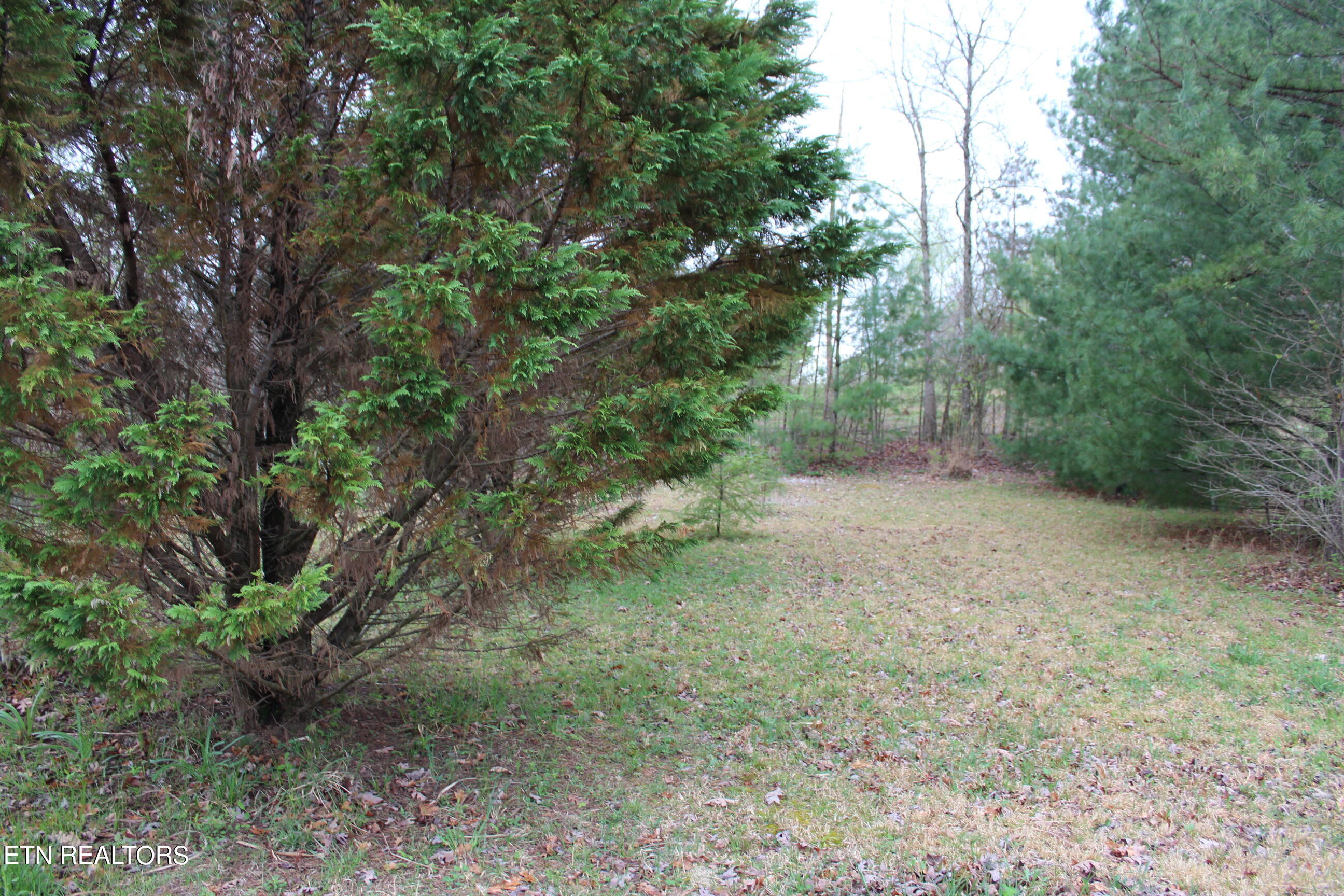 820 Slaven Ridge Road Jamestown, TN 38556 - Photo 2 of 20 IMG_5500