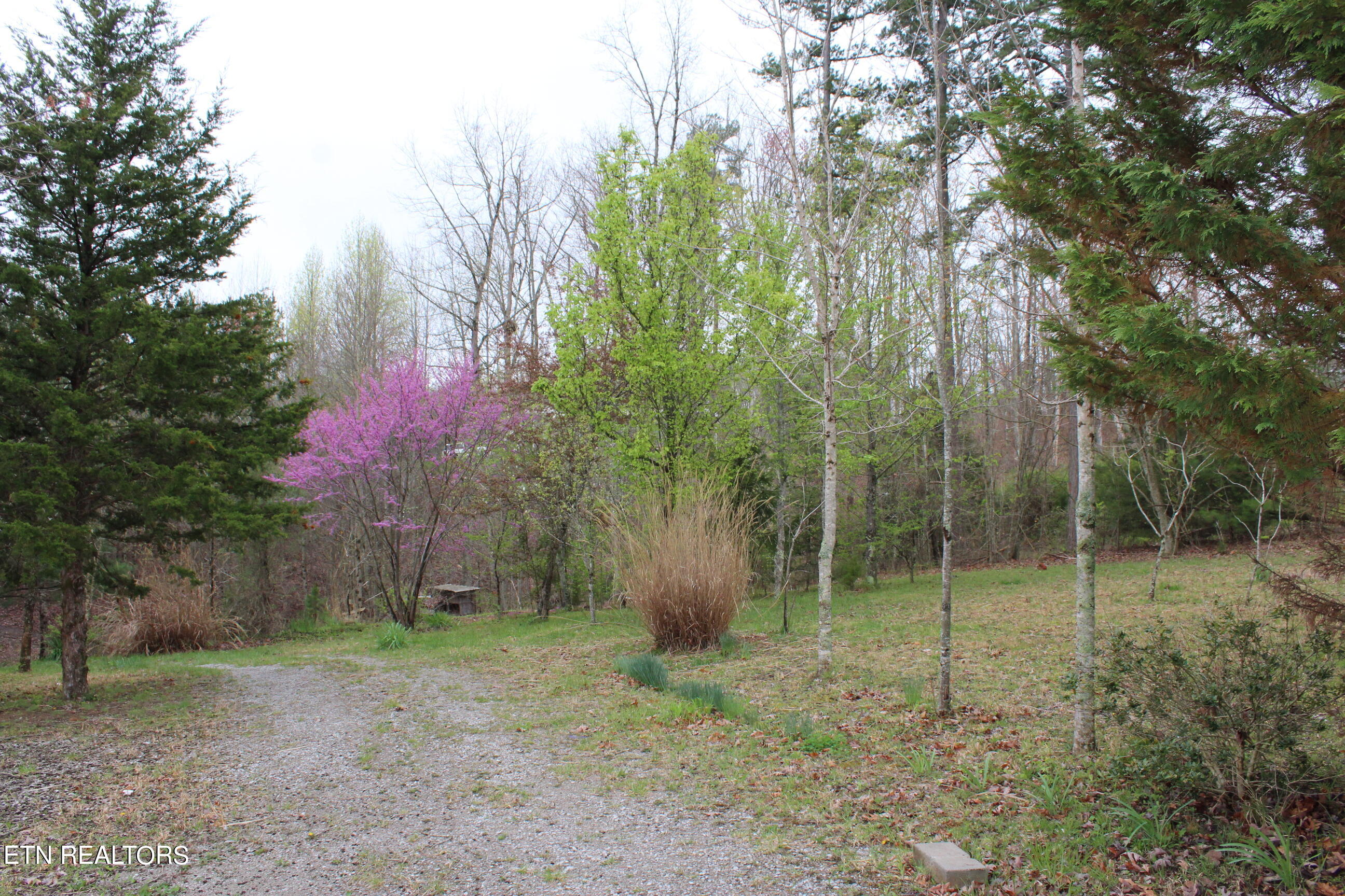 820 Slaven Ridge Road Jamestown, TN 38556 - Photo 3 of 20 IMG_5501