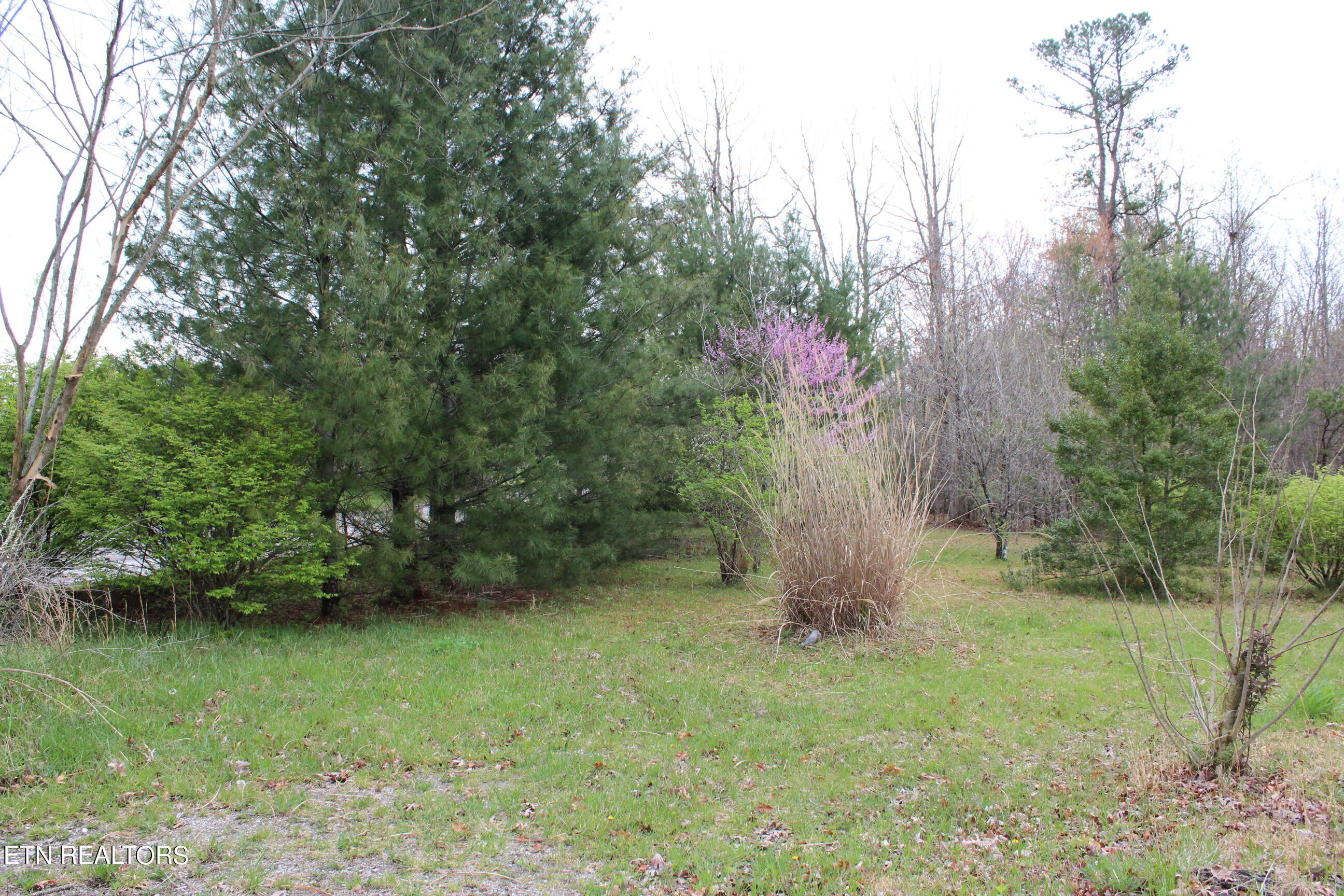 820 Slaven Ridge Road Jamestown, TN 38556 - Photo 4 of 20 IMG_5502