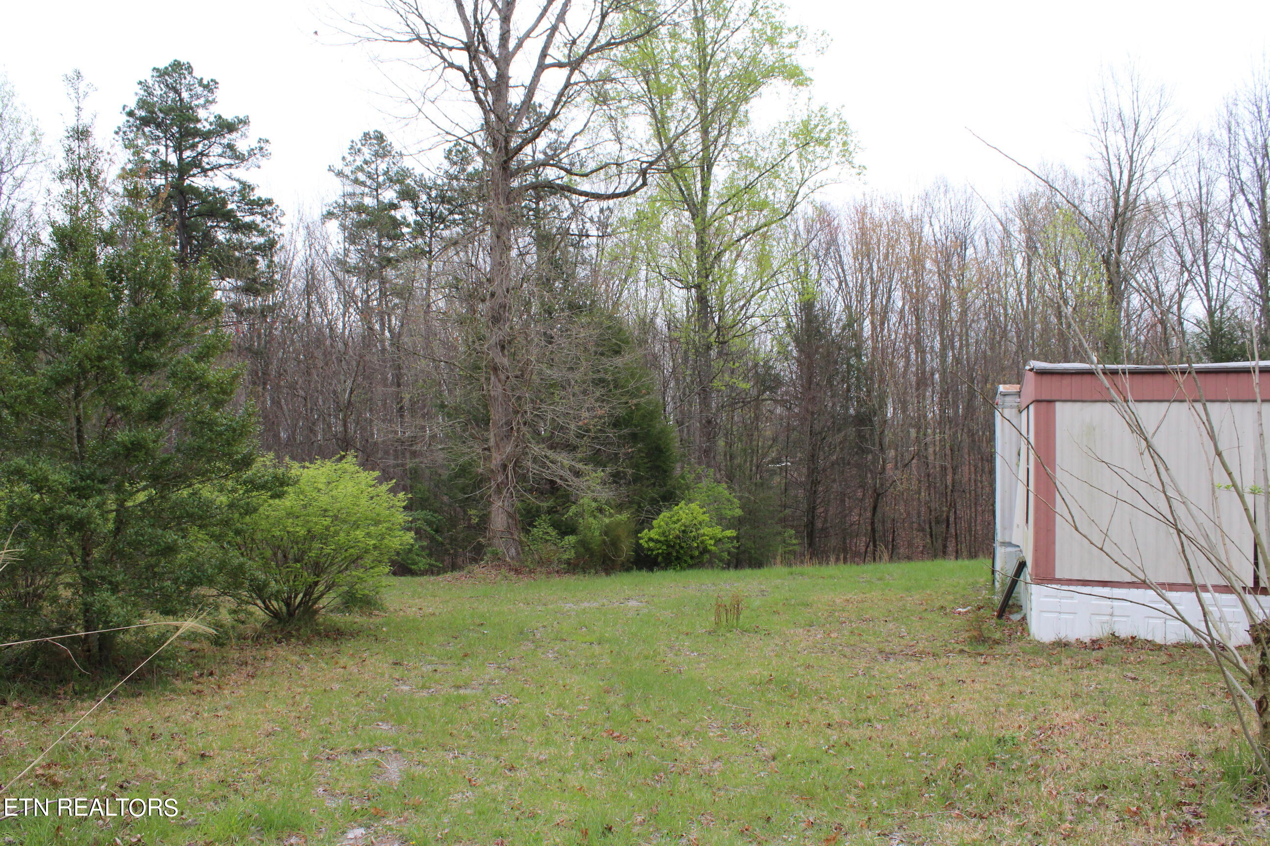 820 Slaven Ridge Road Jamestown, TN 38556 - Photo 5 of 20 IMG_5503