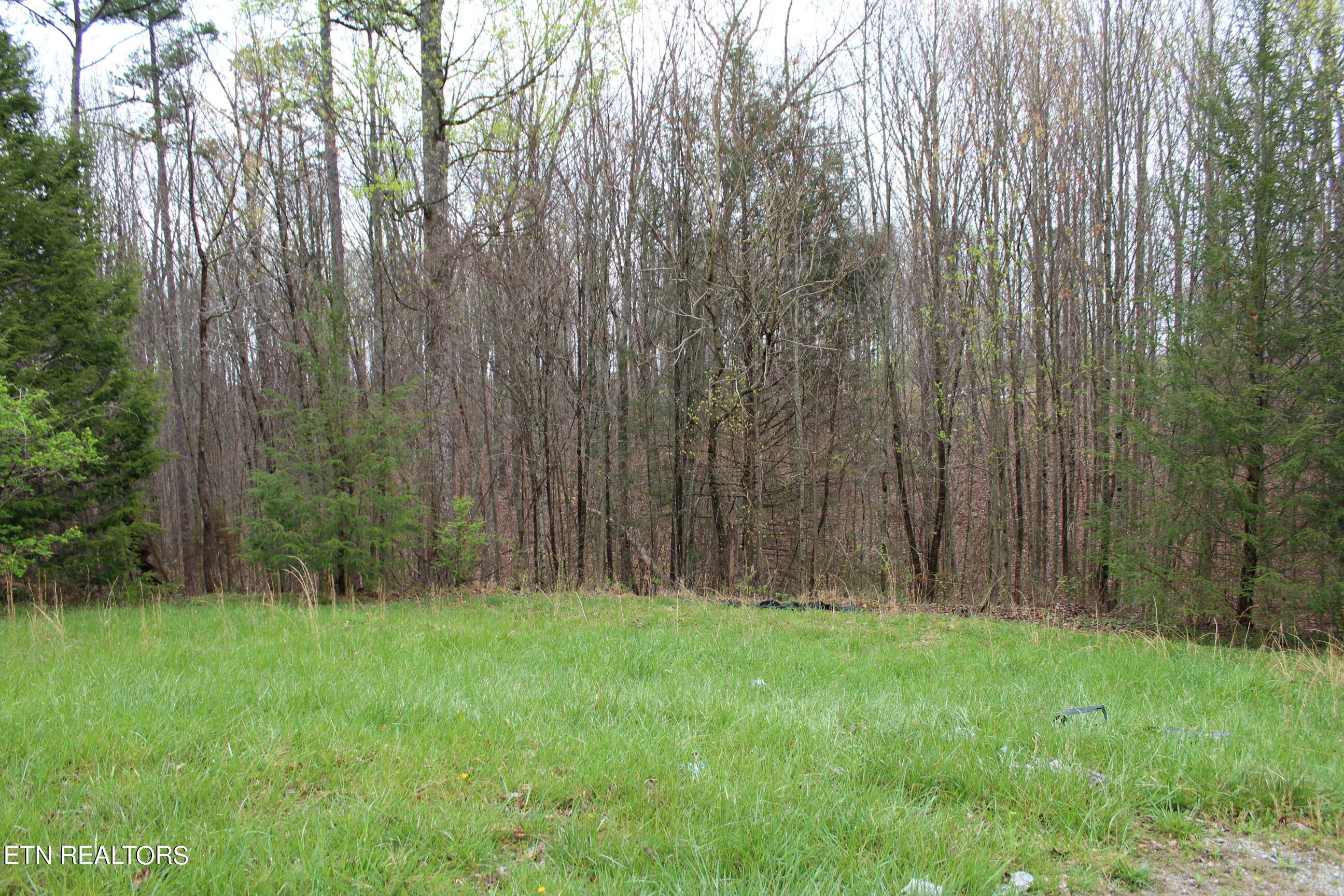 820 Slaven Ridge Road Jamestown, TN 38556 - Photo 6 of 20 IMG_5504