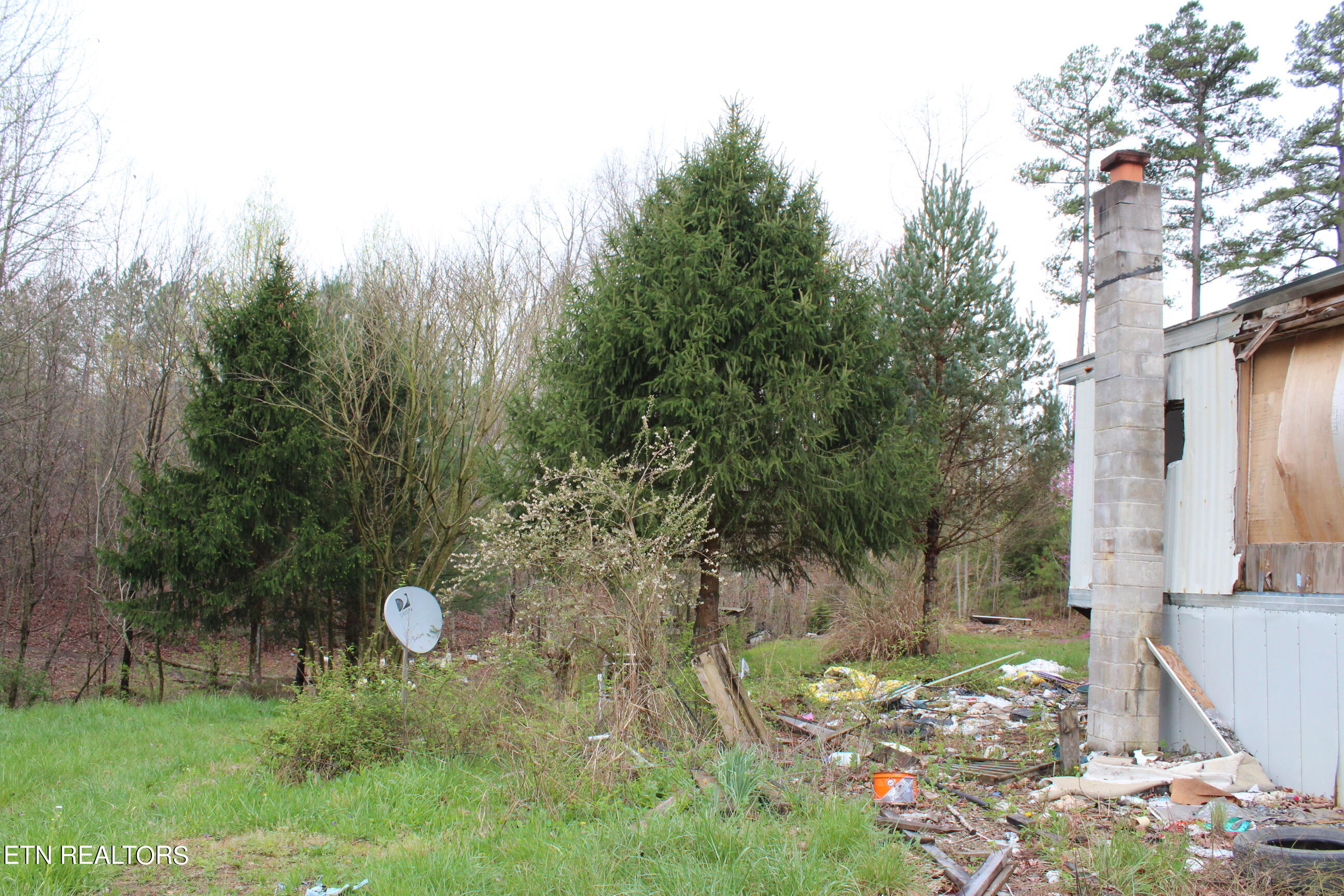 820 Slaven Ridge Road Jamestown, TN 38556 - Photo 7 of 20 IMG_5505