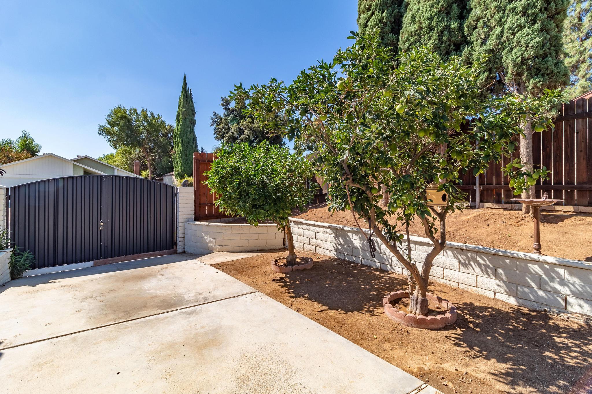 6875 Crest Avenue Riverside, CA 92503 - Photo 30 of 31 a view of a backyard with a tree