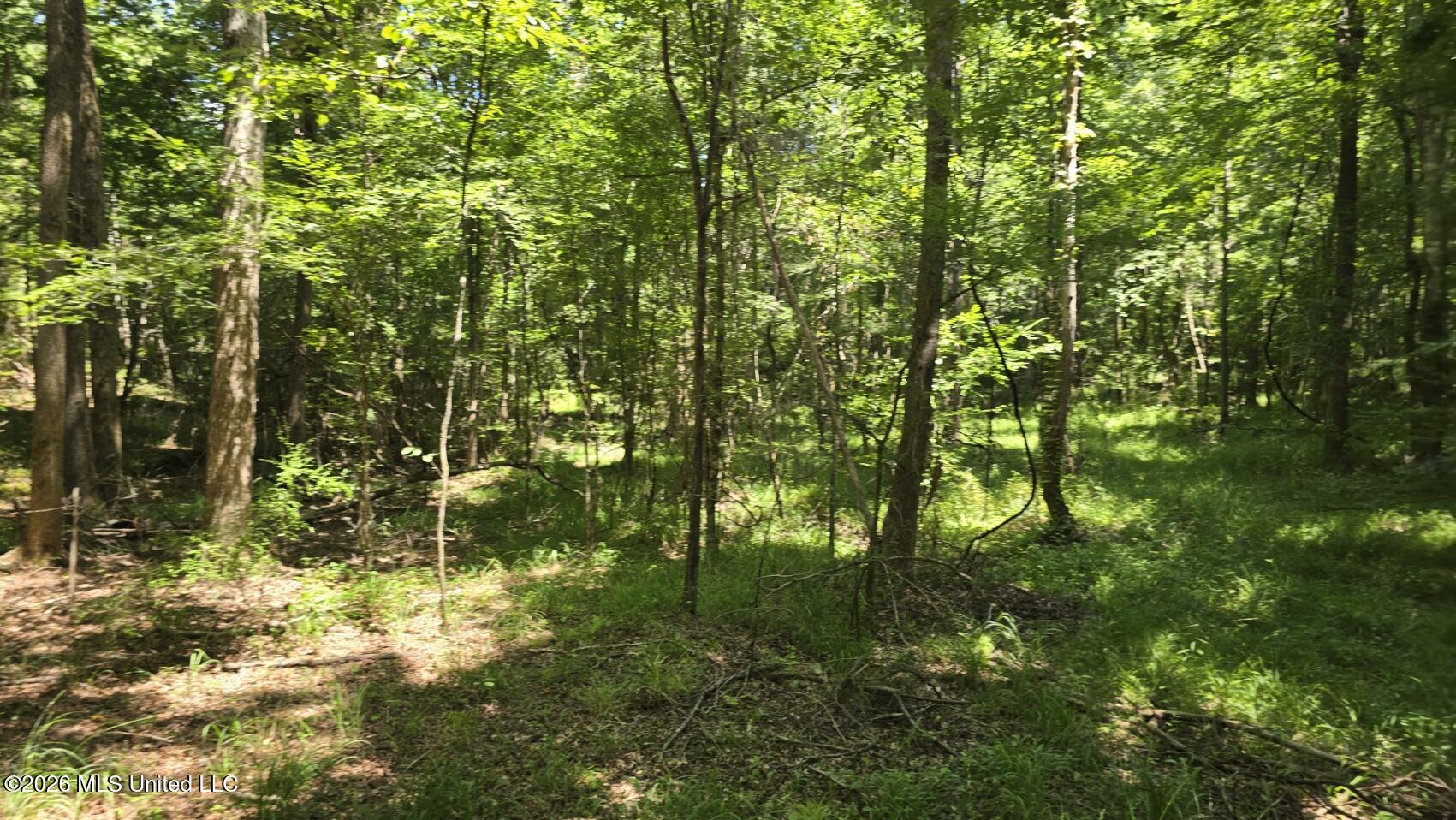 3995 Choctaw Road Brookhaven, MS 39601 - Photo 50 of 73 20260709_114632
