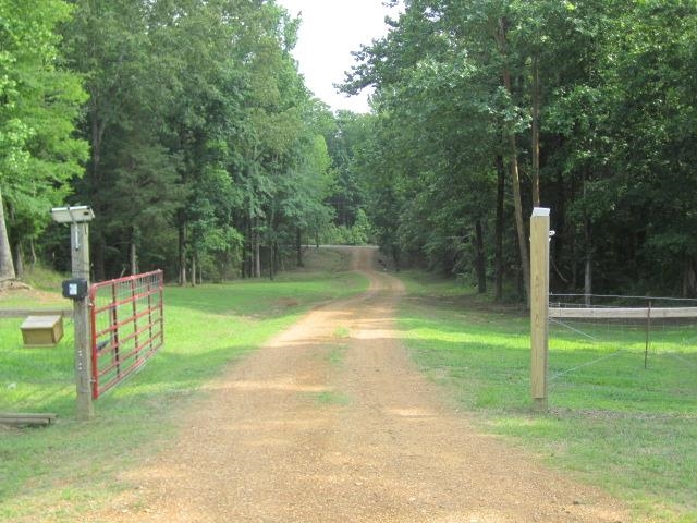 2335 Turner Road Grand Junction, TN 38039 - Photo 3 of 19 Gallery Image 3