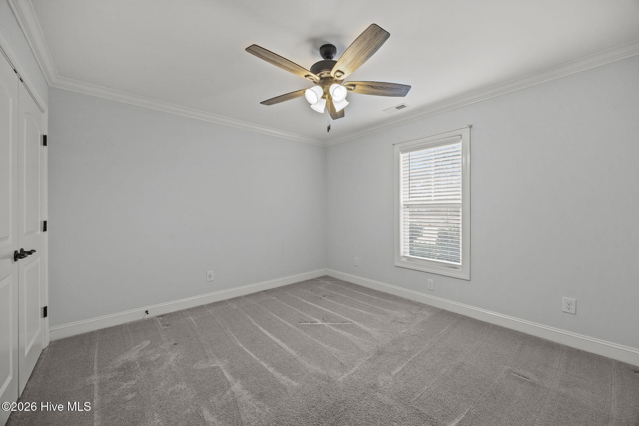 2909 Avon Road Greenville, NC 27858 - Photo 35 of 54 35-web-or-mls-IMG_1178