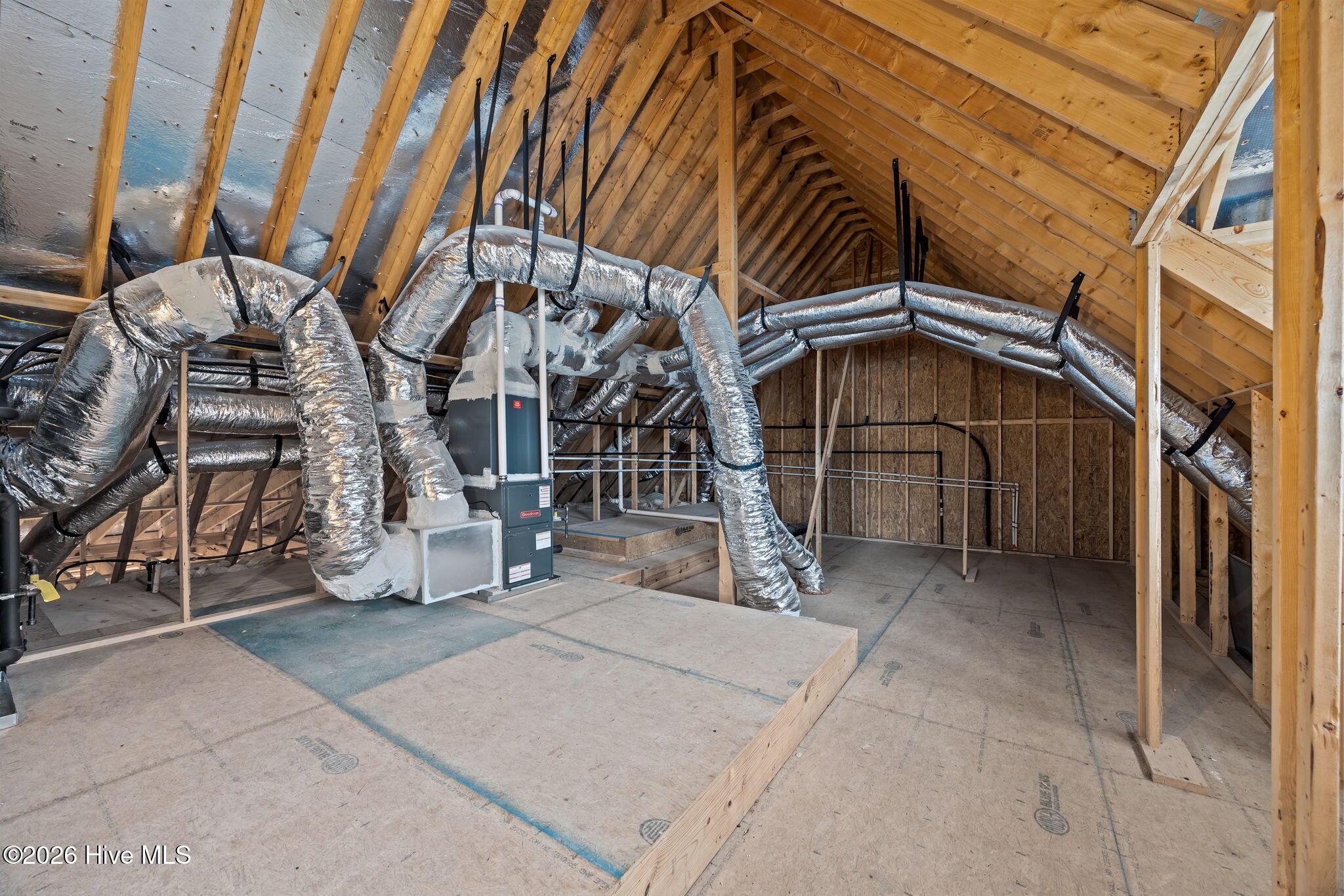 2909 Avon Road Greenville, NC 27858 - Photo 49 of 54 49-web-or-mls-IMG_1232