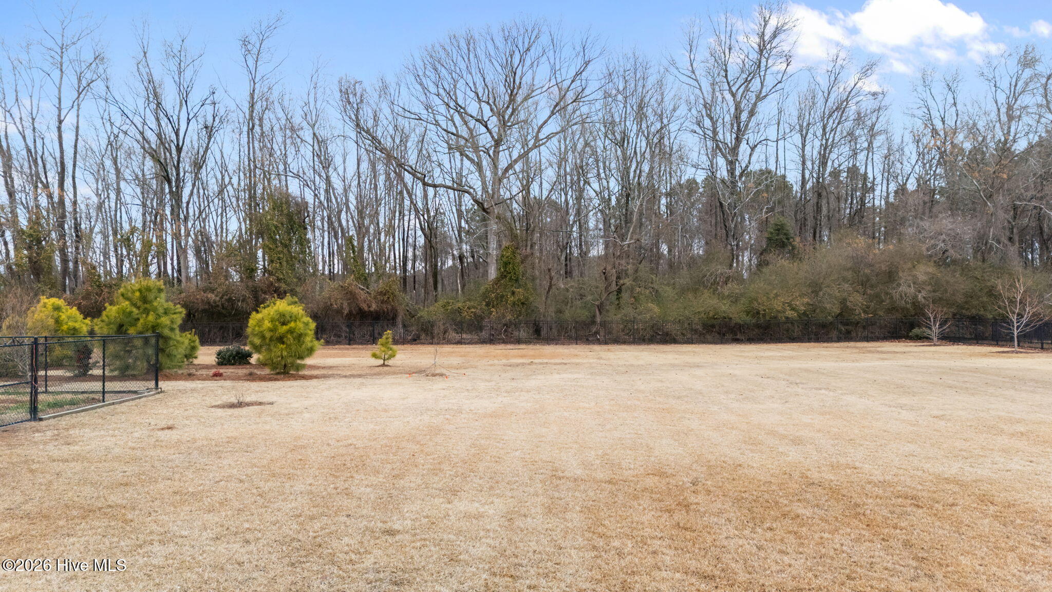2909 Avon Road Greenville, NC 27858 - Photo 10 of 54 10-web-or-mls-DJI_20260216092036_0330_D