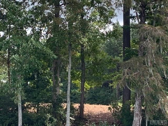 101 Norcum Point Road Edenton, NC 27932 - Photo 4 of 17