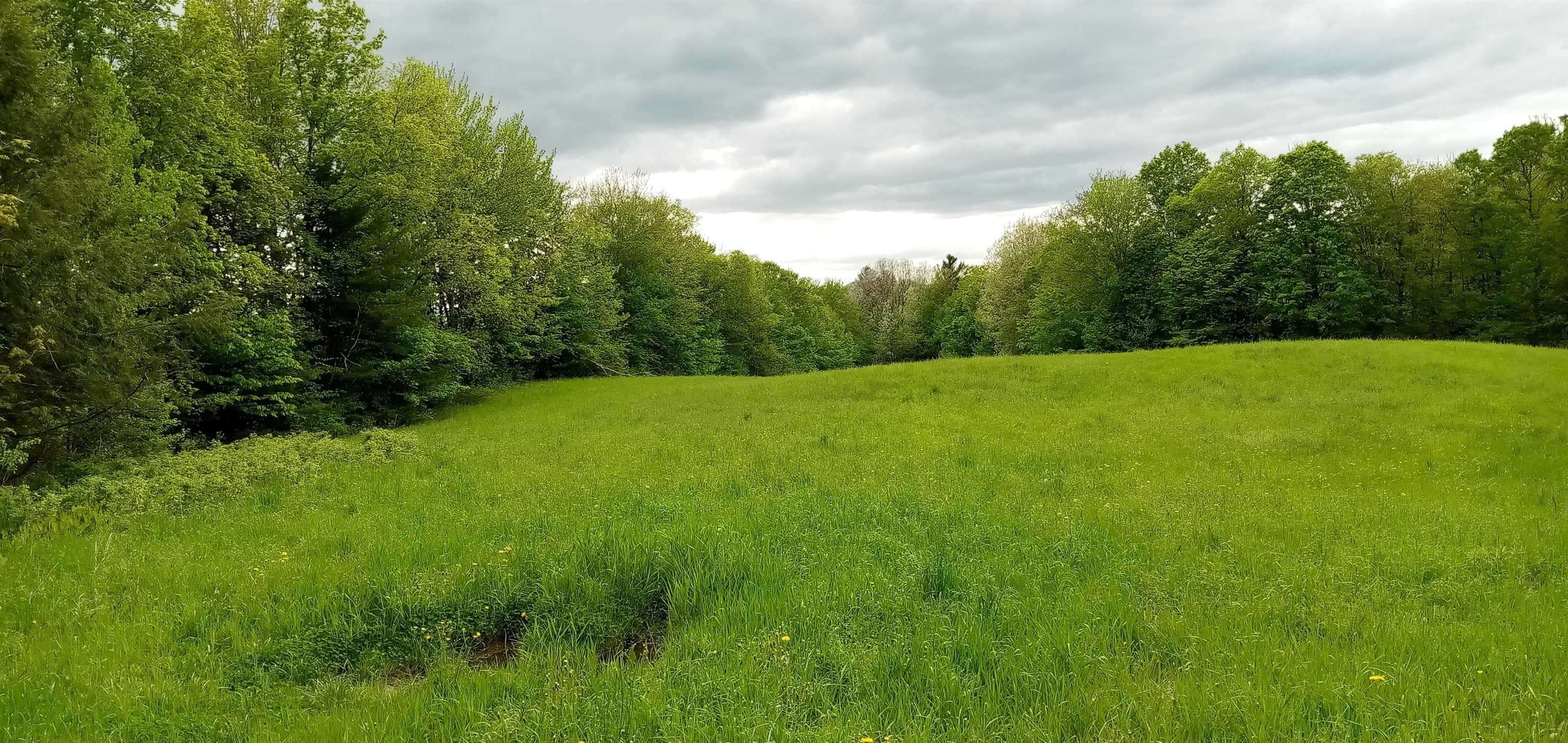 656 Lower Elmore Mountain Road, Unit 1 Morristown, VT 05661 - Photo 2 of 6