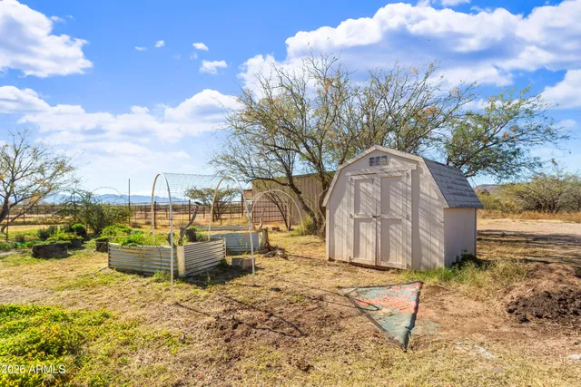 a view of a backyard