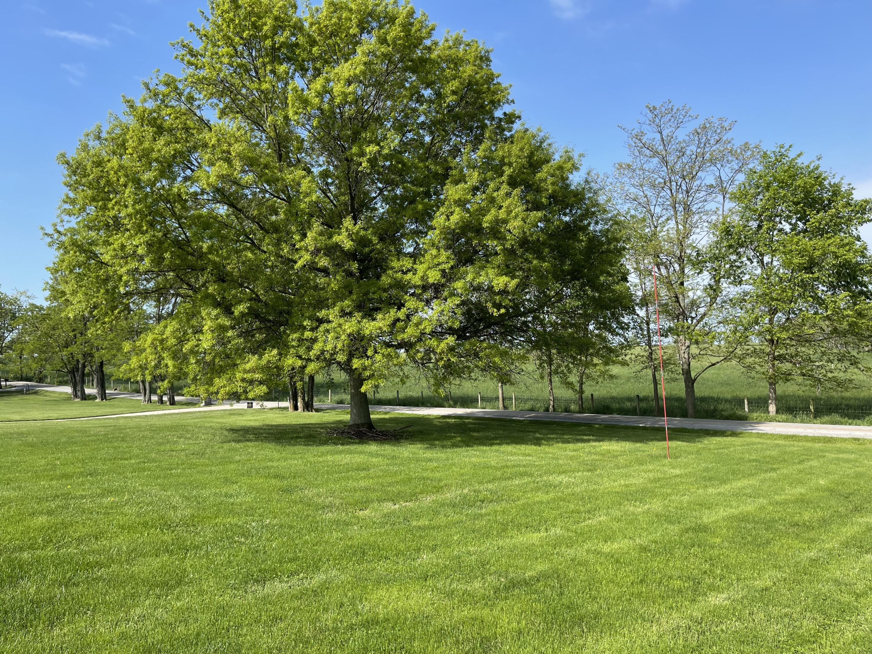 6380 Ware Road Paris, KY 40361 - Photo 13 of 13 image015