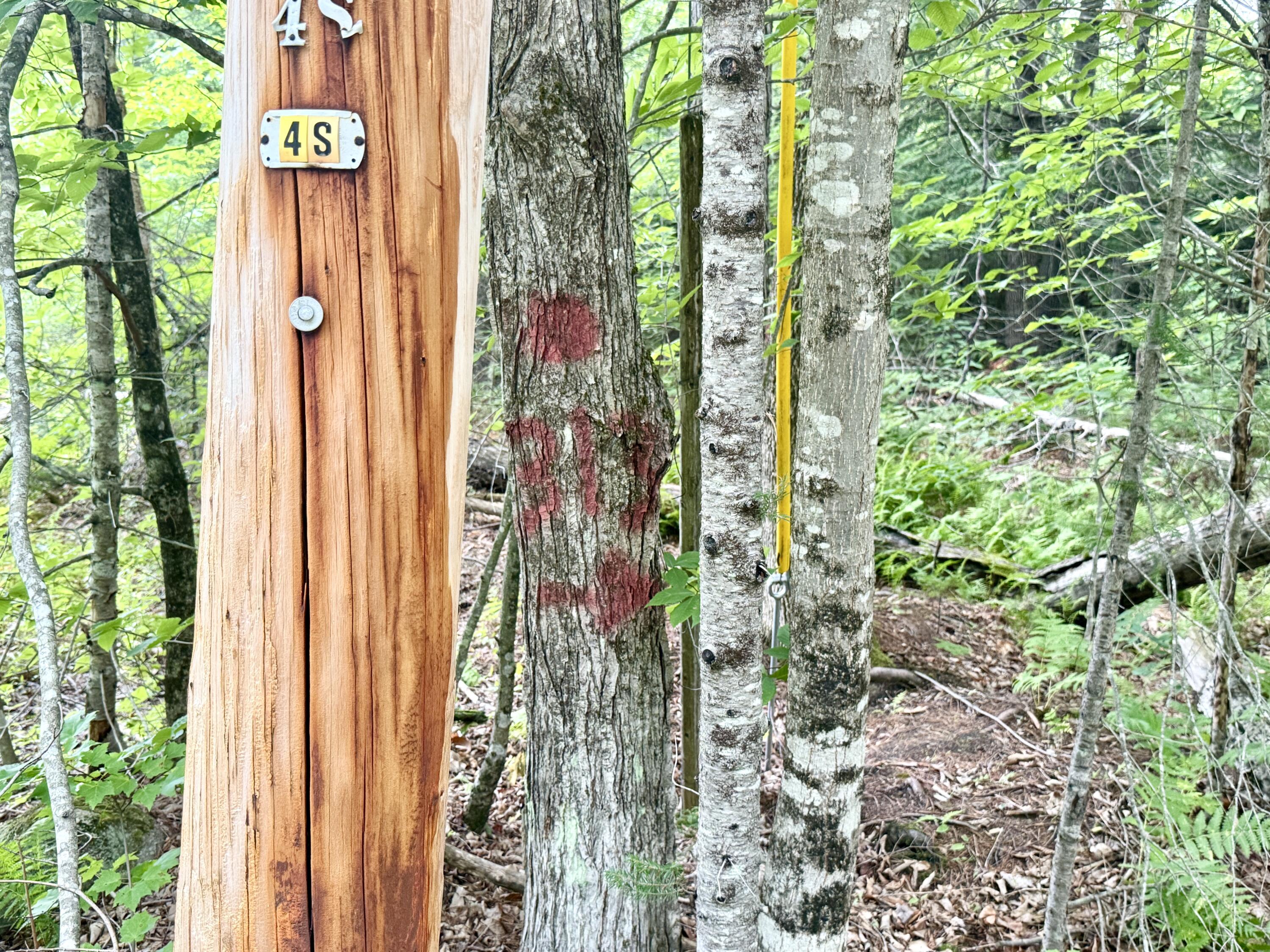 M5-l15-a Tibbetts Road Mercer, ME 04957 - Photo 6 of 7 IMG_6450
