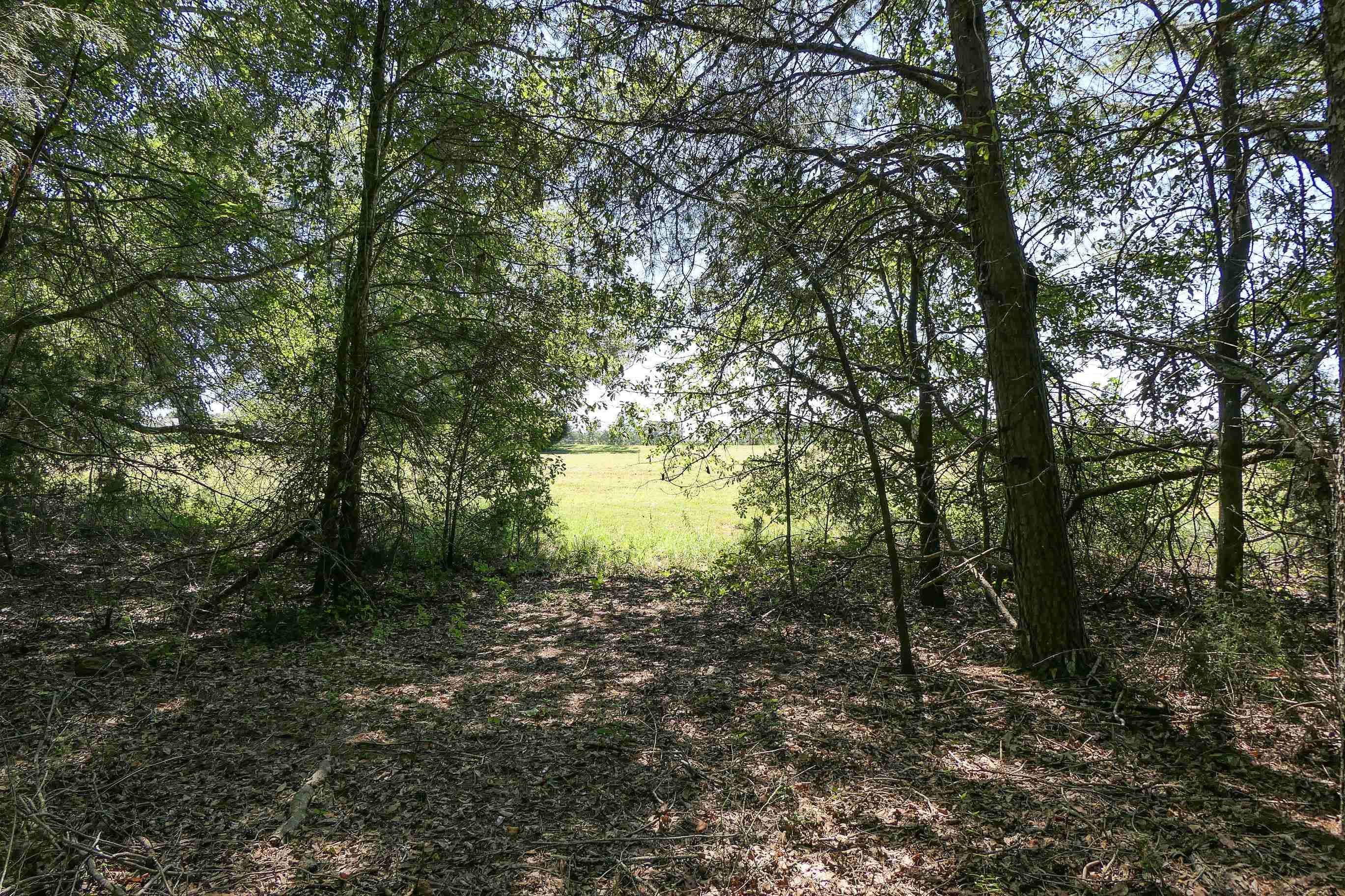 Swofford Drive Gaffney, SC 29341 - Photo 8 of 19