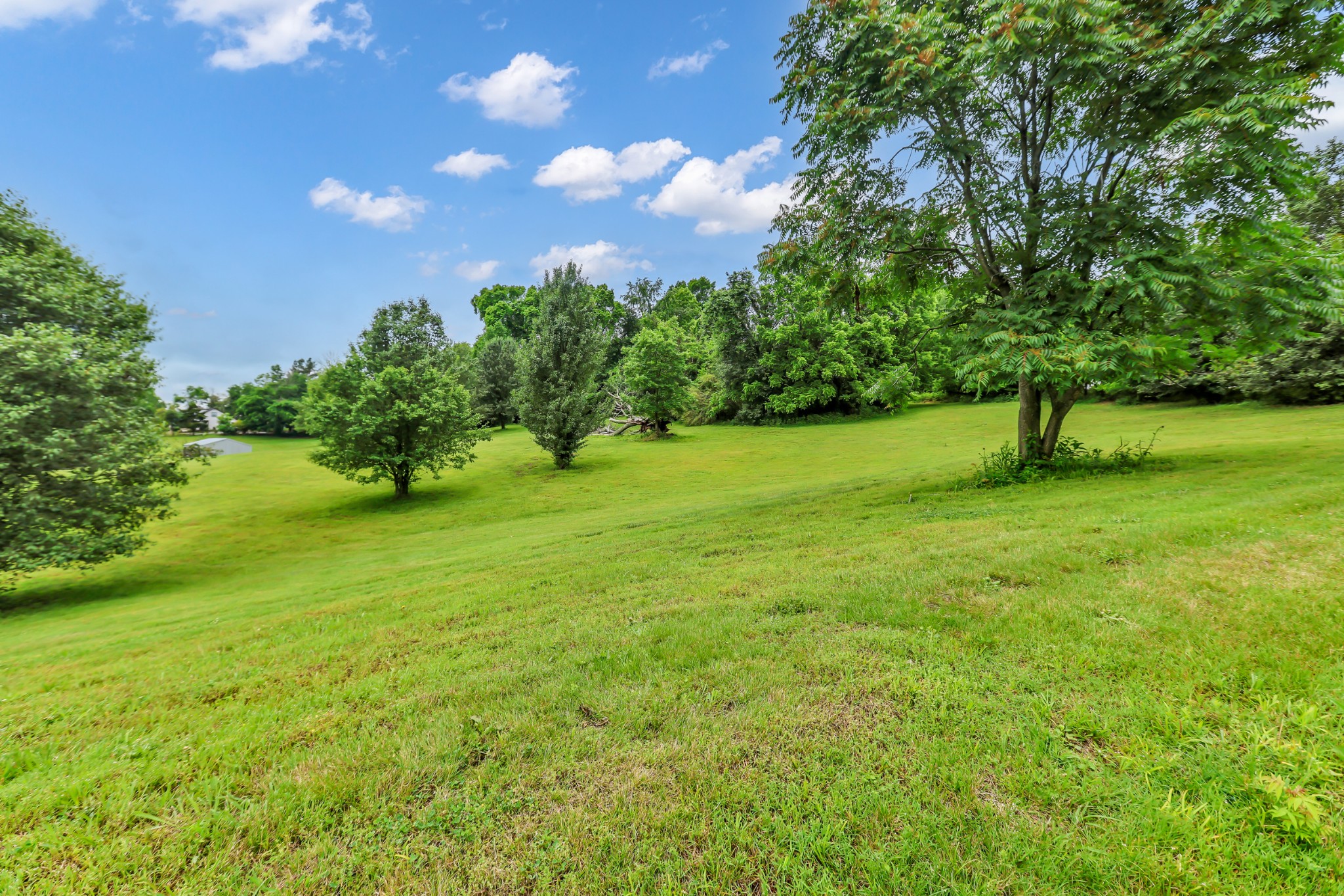 1725 Williamson Road Goodlettsville, TN 37072 - Photo 9 of 31 Gallery Image 9