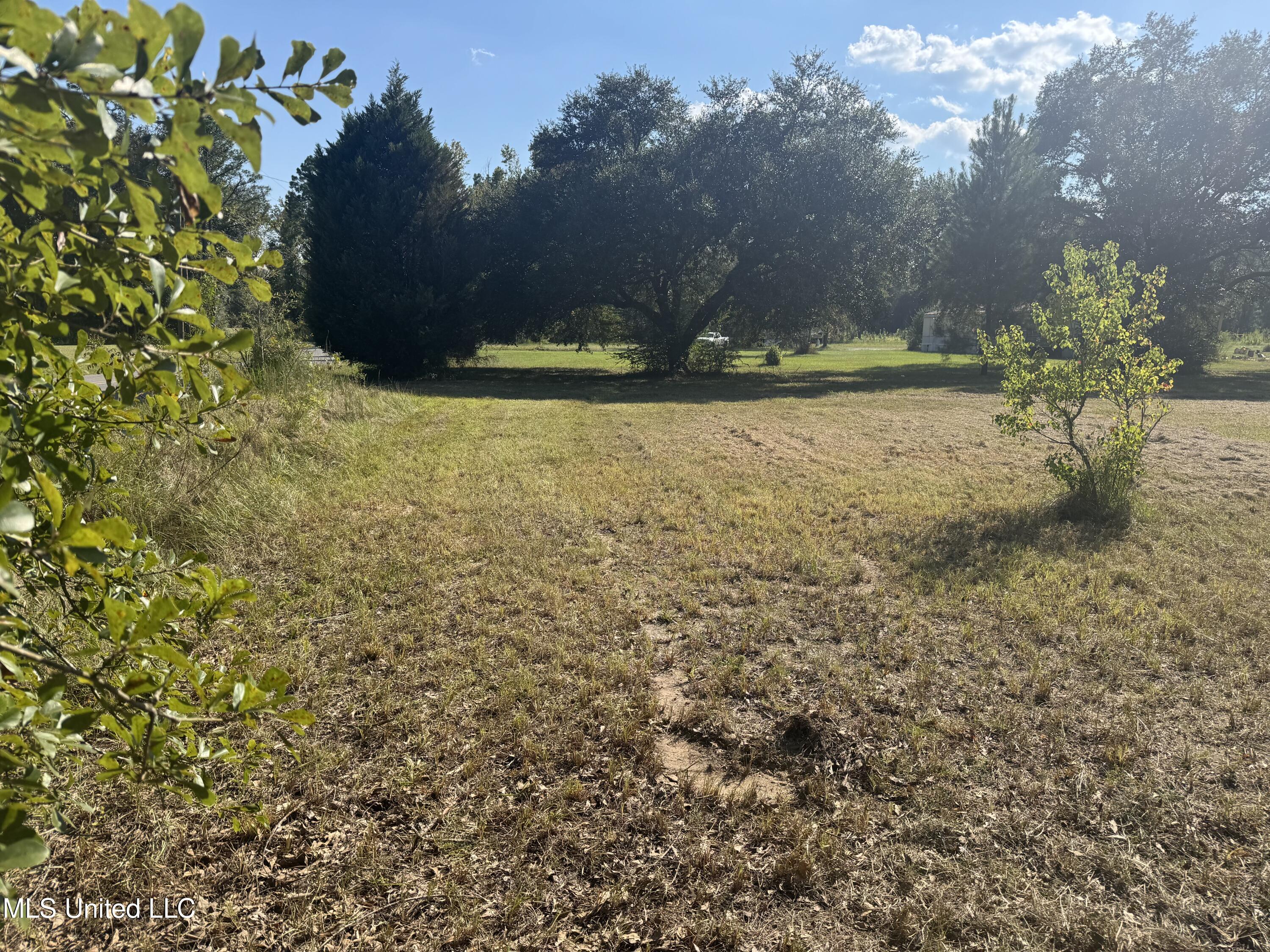1233 Tannertown Road Lucedale, MS 39452 - Photo 2 of 4 IMG_9657