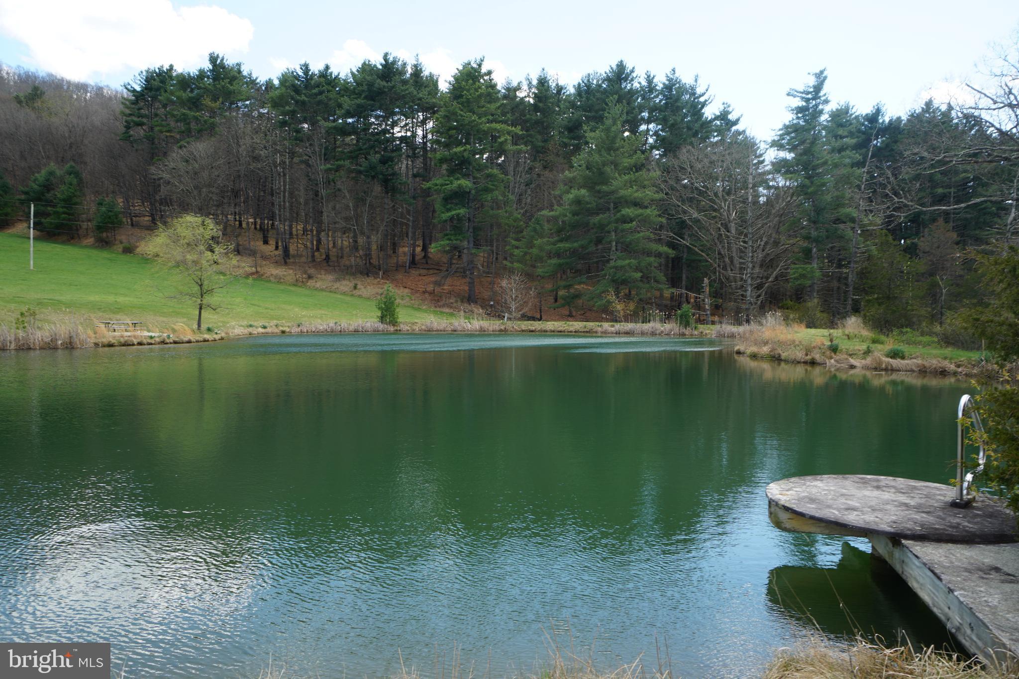 1873 Capito Hill Road Franklin, WV 26807 - Photo 7 of 72 a view of a lake view with a garden