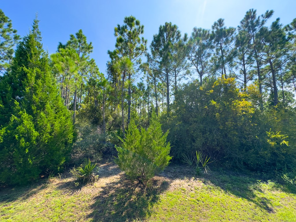 148 Shallow Reed Dr Port Street Port St. Joe, FL 32456 - Photo 3 of 12
